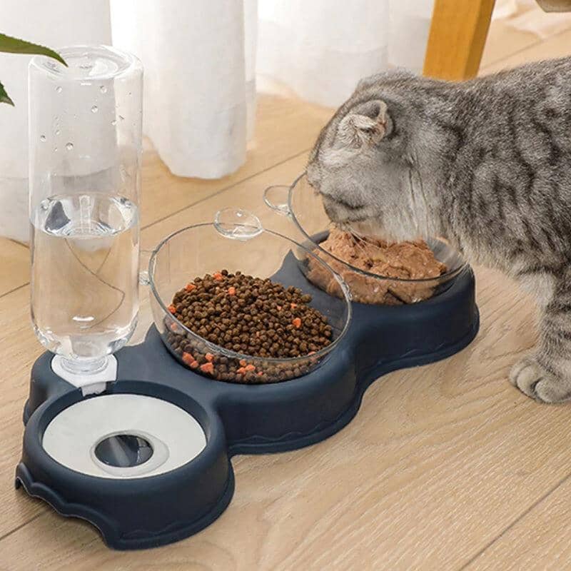 Bebedouro e Comedouro ergonômico para Cães e Gatos TIGELA 05 Importe Go 