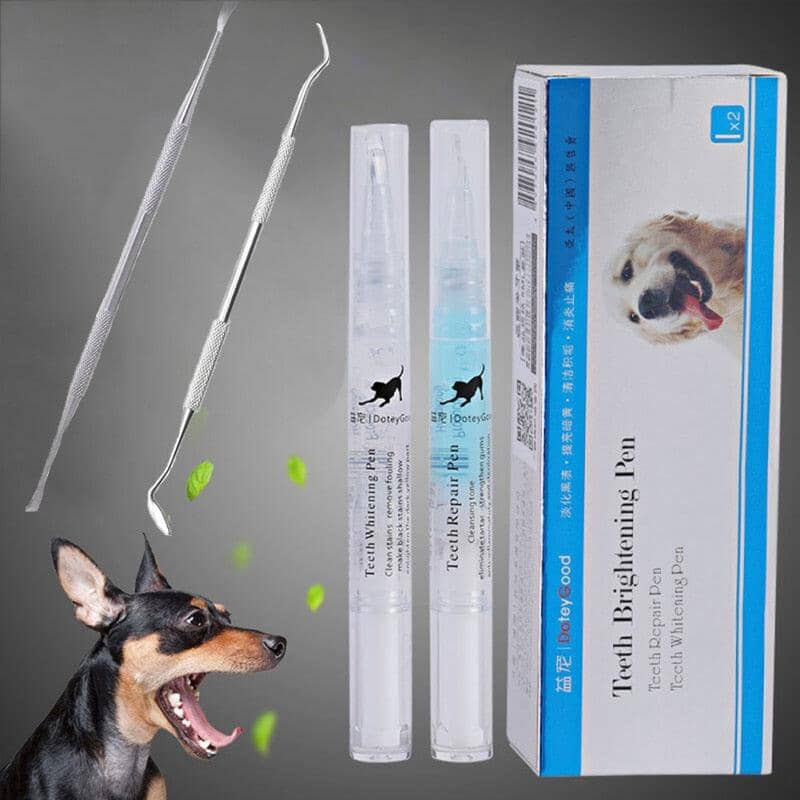 Caneta limpadora de dentes para Pets Importe Go 