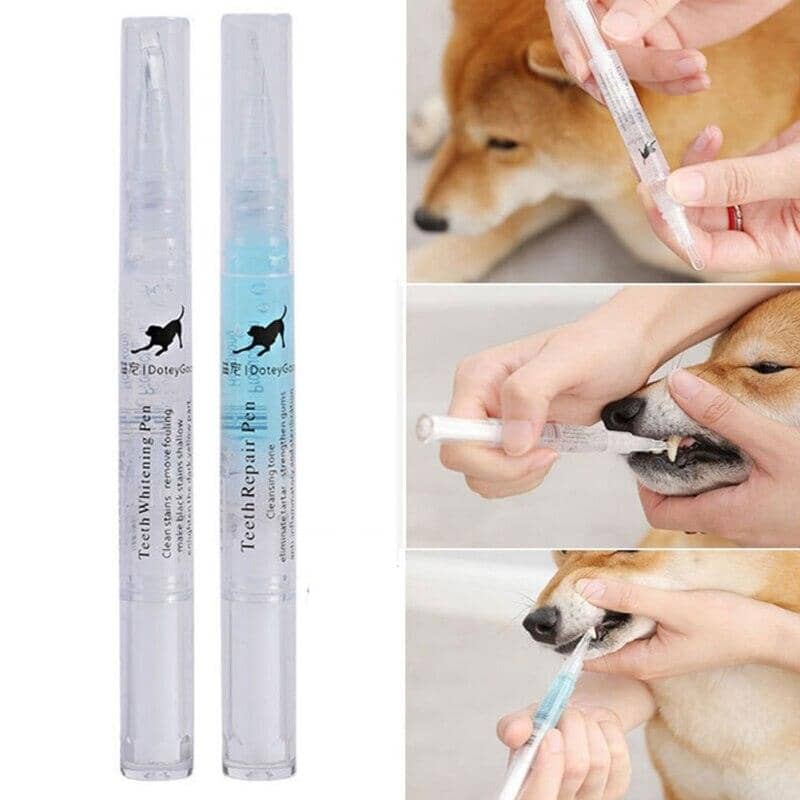 Caneta limpadora de dentes para Pets Importe Go 