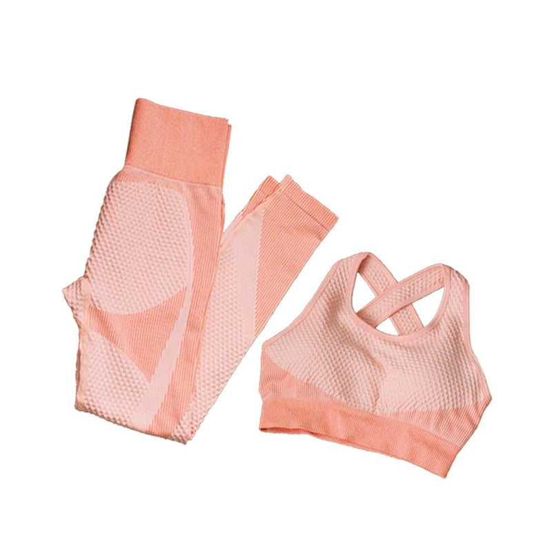 Conjunto Fitness Luxo LaBela Fitness002 Importe Go Rosa 2pcs P 