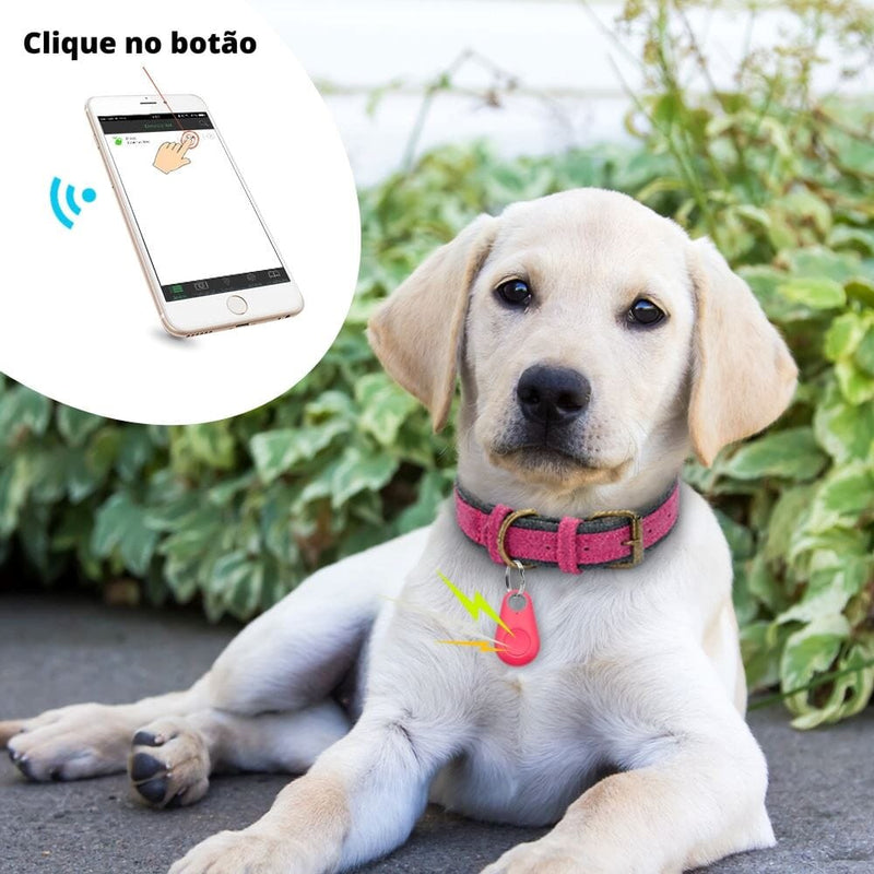 Rastreador GPS Para Cães e Gatos KB 26 - Rastreador GPS Para Cães e Gatos Importe Go 